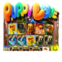 Puppy Love