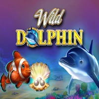 Wild Dolphin